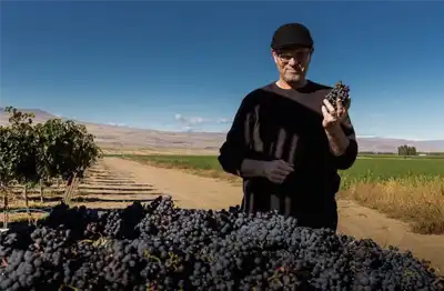 Nota Bene Washington State winery distributed in the United States by Teinnovadora